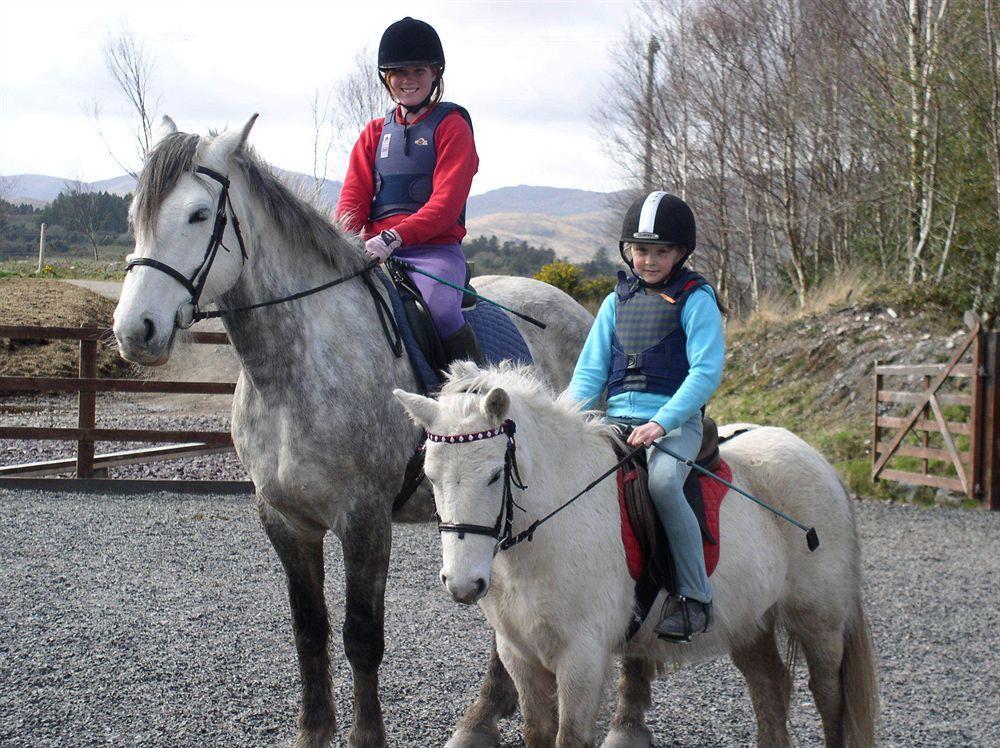 Eclipse Holiday Homes & Adventure Centre Kenmare Extérieur photo