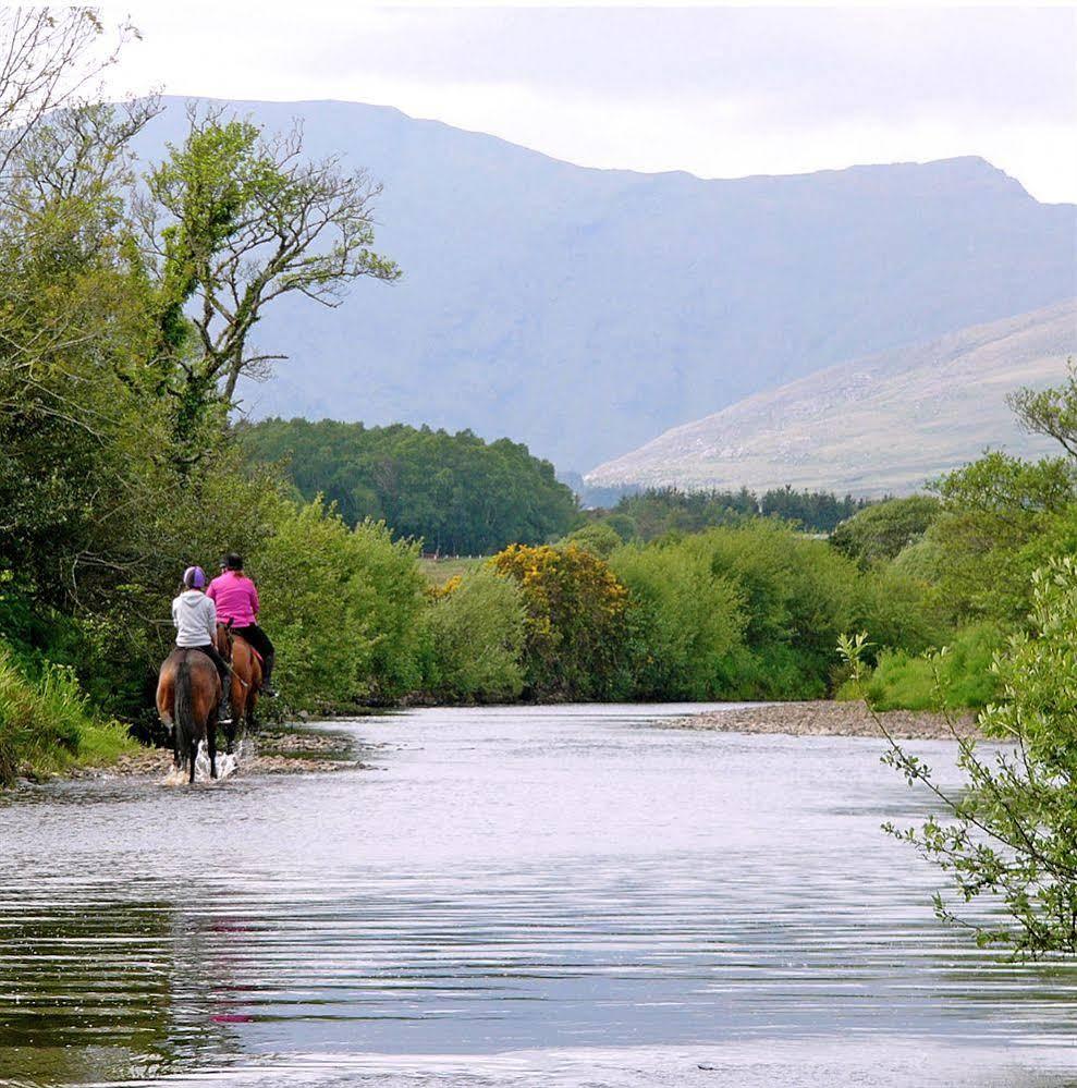 Eclipse Holiday Homes & Adventure Centre Kenmare Extérieur photo